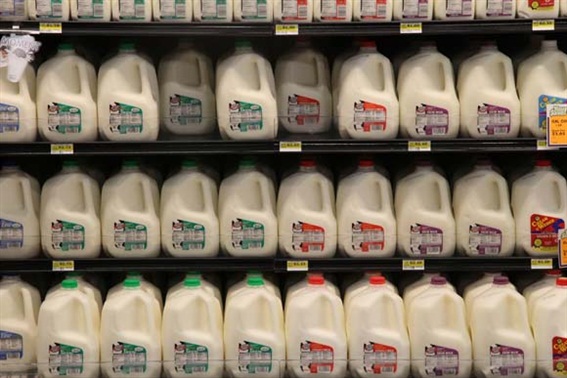 Dairy Department 1